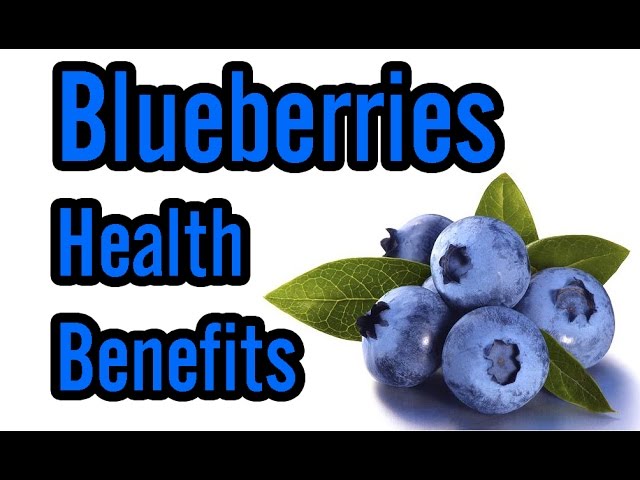 blueberry-brain-boosting-benefits 27 wellhealthorganic.com:blueberry-brain-boosting-benefits